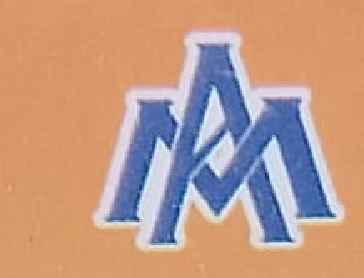 No Logo Found