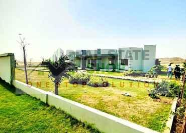 1gulmohar_16_20250425_073646.jpg