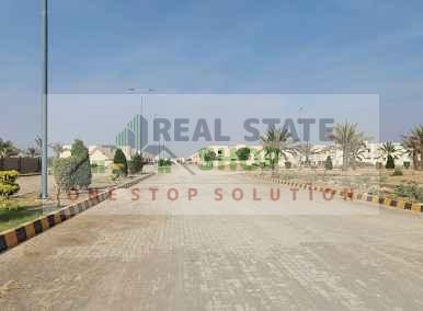 4saima_16_20250503_094043.jpg