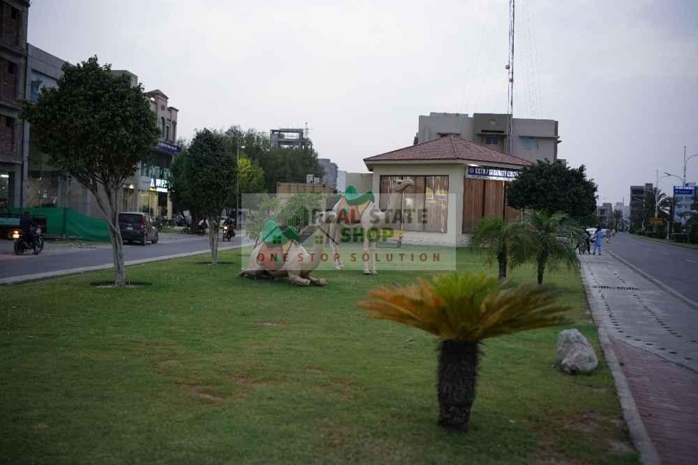 property_img_1747056900888_8.jpg