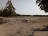 22aishagreens_16_20250224_092223.jpg