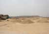 3gulmohar_16_20250425_073646.jpg