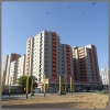 graynooor_21_20250121_082353.jpg