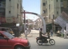 rabiapetal2_16_20250426_090210.jpg