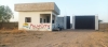 safaripalm_16_20250312_091856.jpg
