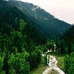 Best places to visit in Galiyat